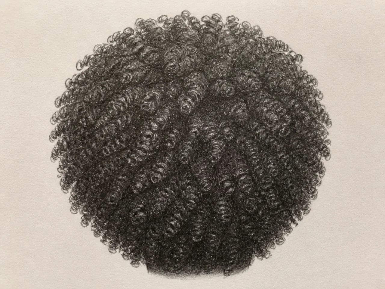 An unlit evenly-edged shape reading as foliage