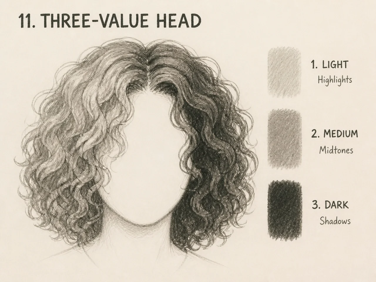 A three-value curly hair study