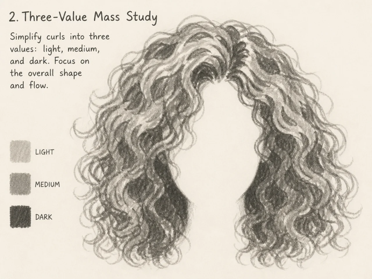 A three-value tonal study of curly hair