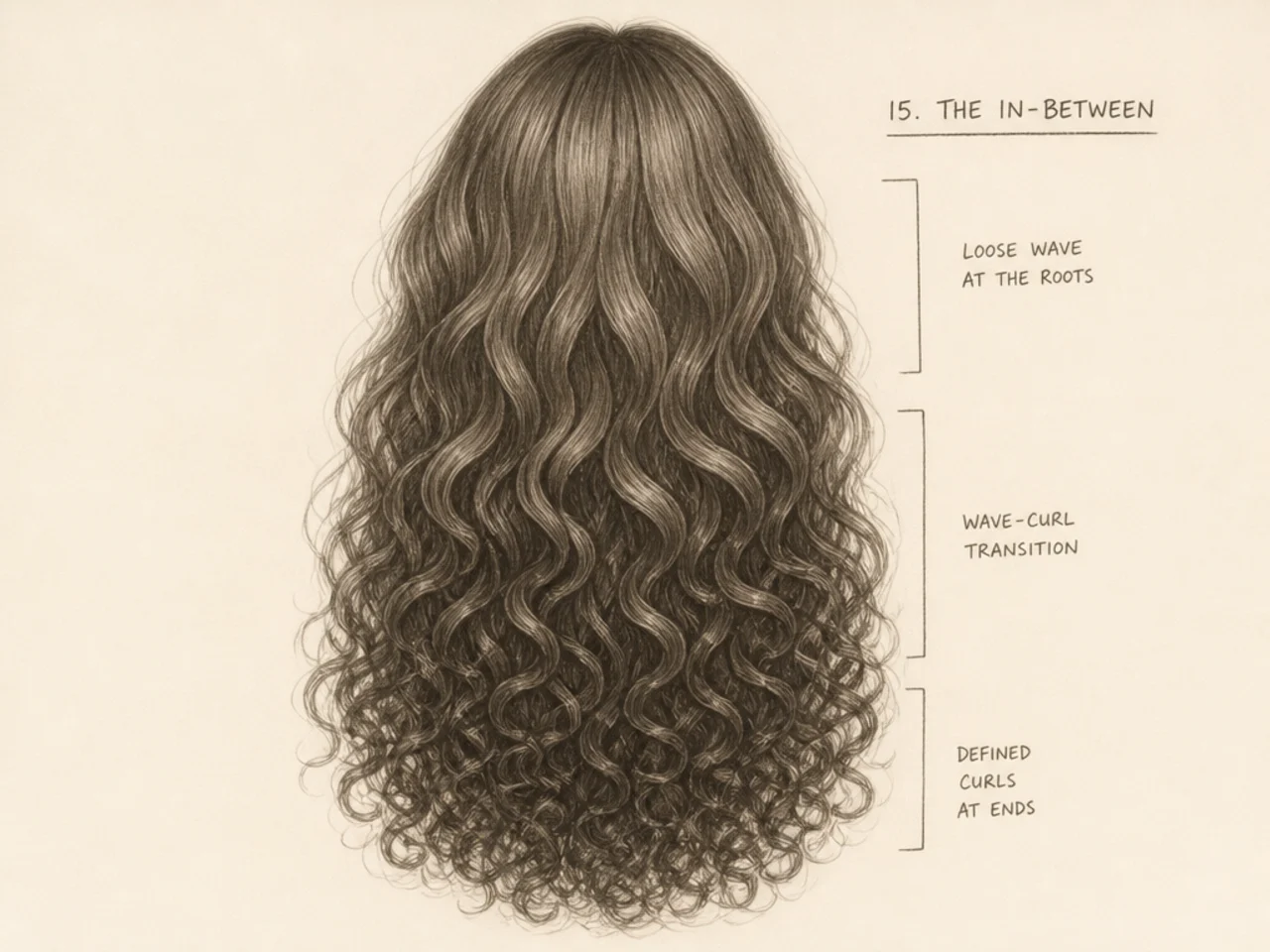 Hair transitioning from wave to curl down its length