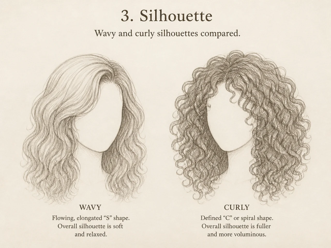 Wavy and curly silhouettes compared
