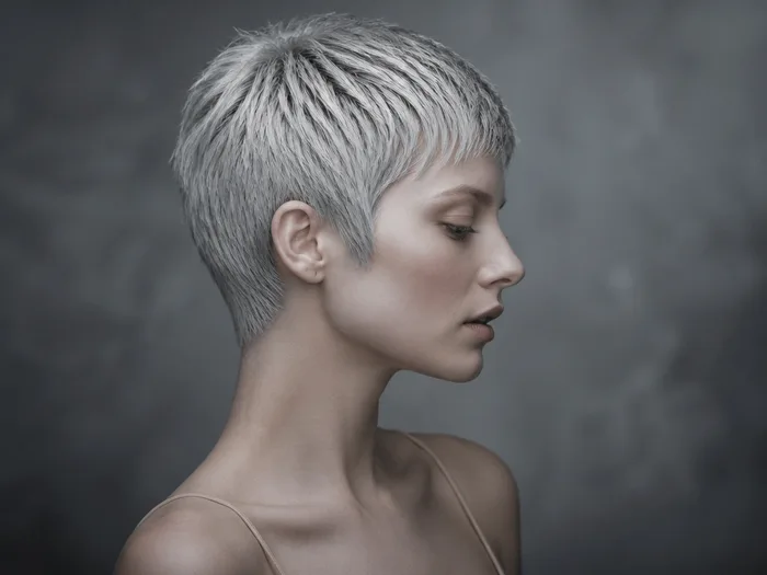 Pixie cut coated in metallic silver temporary color