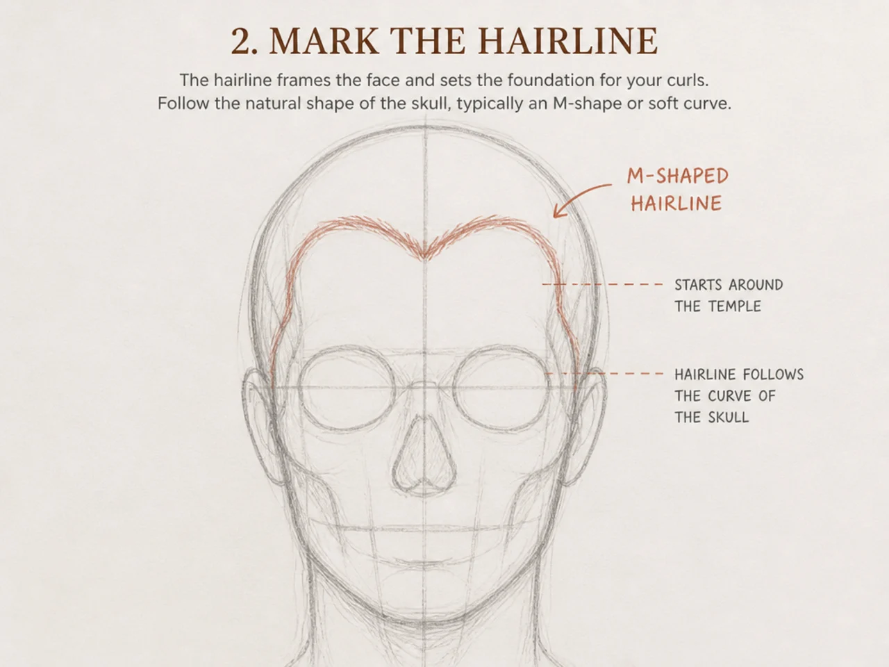 The hairline marked on the skull construction