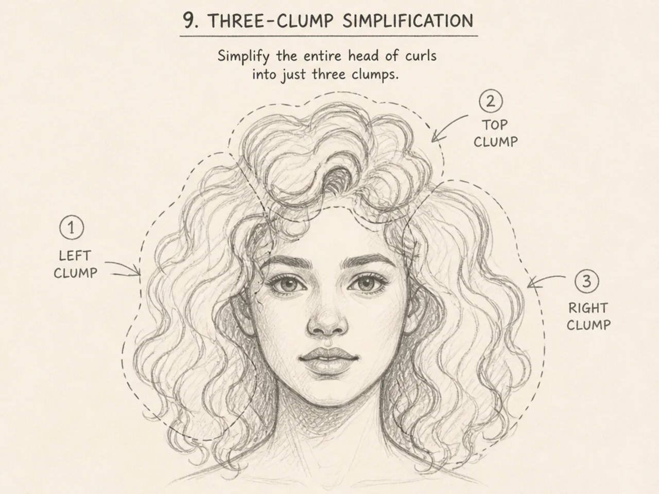 Curly hair simplified to three clumps