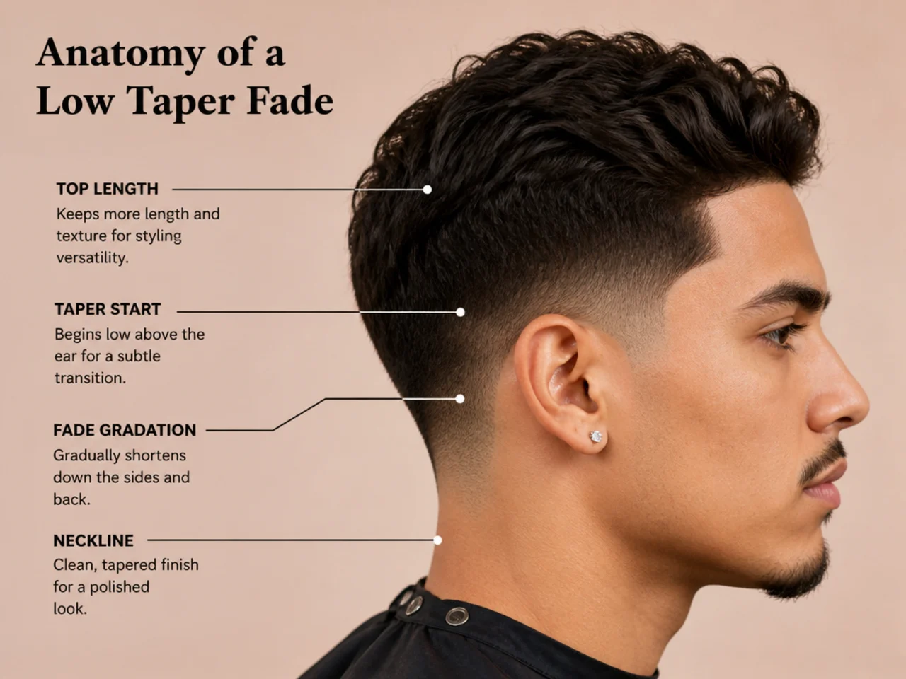 Close-up diagram of a low taper fade showing guard numbers stepping from a two down to a half at the neckline