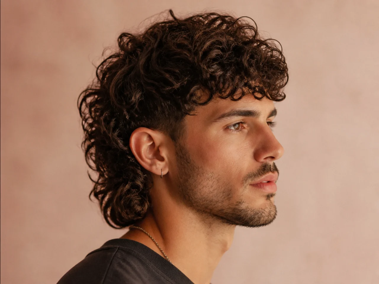 Curly modern mullet with grown-out coily back and low mid fade