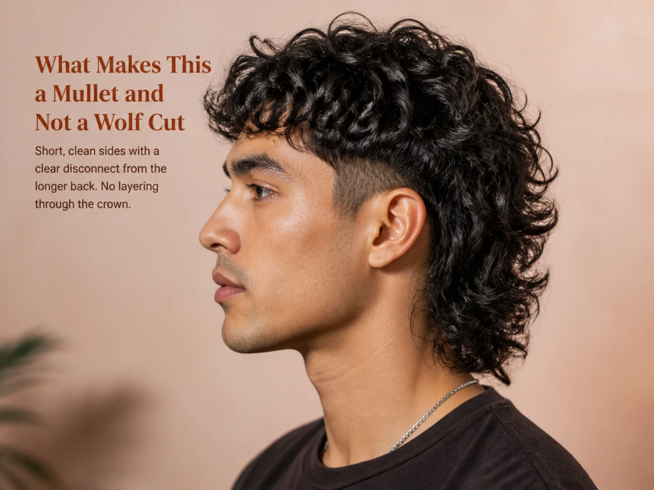 Side-by-side of a mullet and a wolf cut on 3B curly hair showing the short-top-long-back mullet next to the layered-crown wolf silhouette