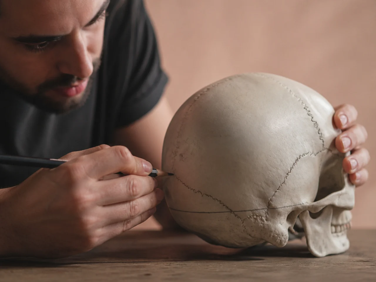 A pencil study marking the occipital curve and the step position on a skull