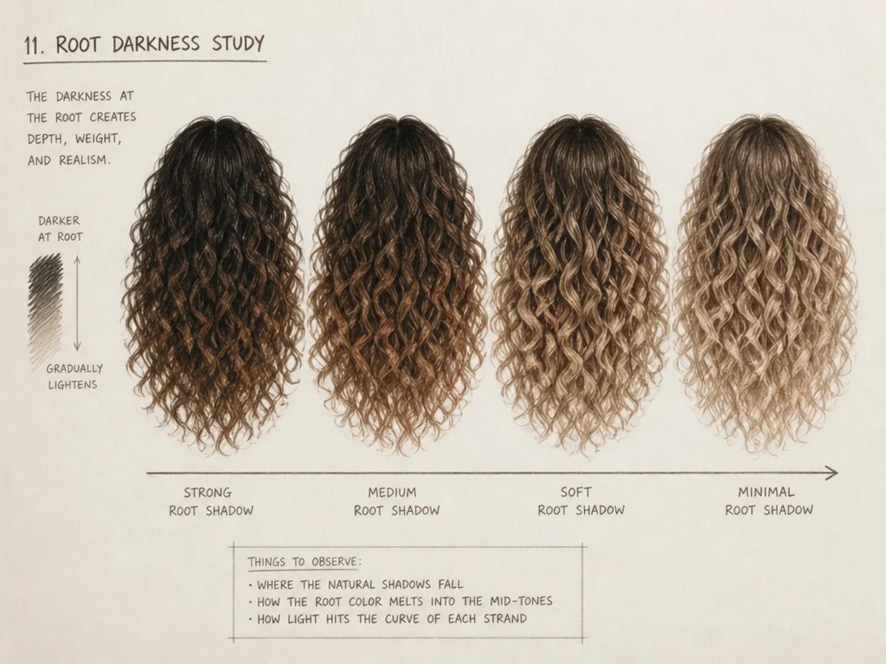 A study of root darkness gradient