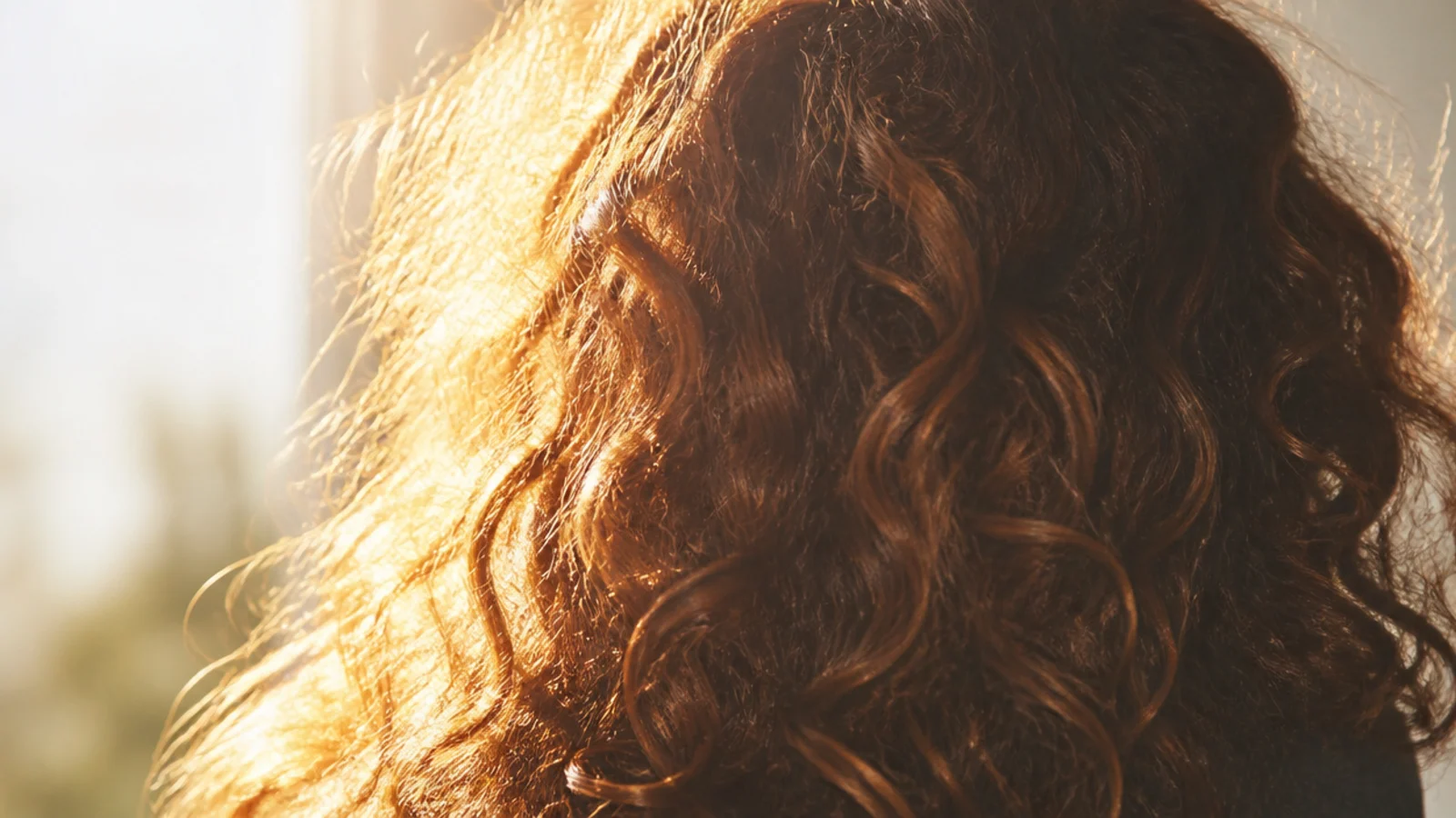 Curls photographed against low evening sun with a bright rim of light