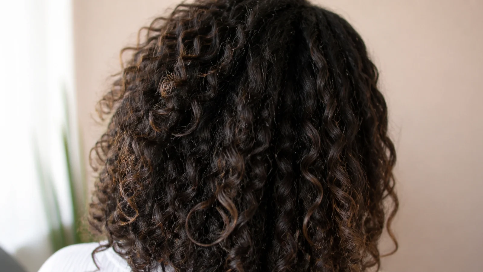 A diffuser held against the roots while drying textured hair