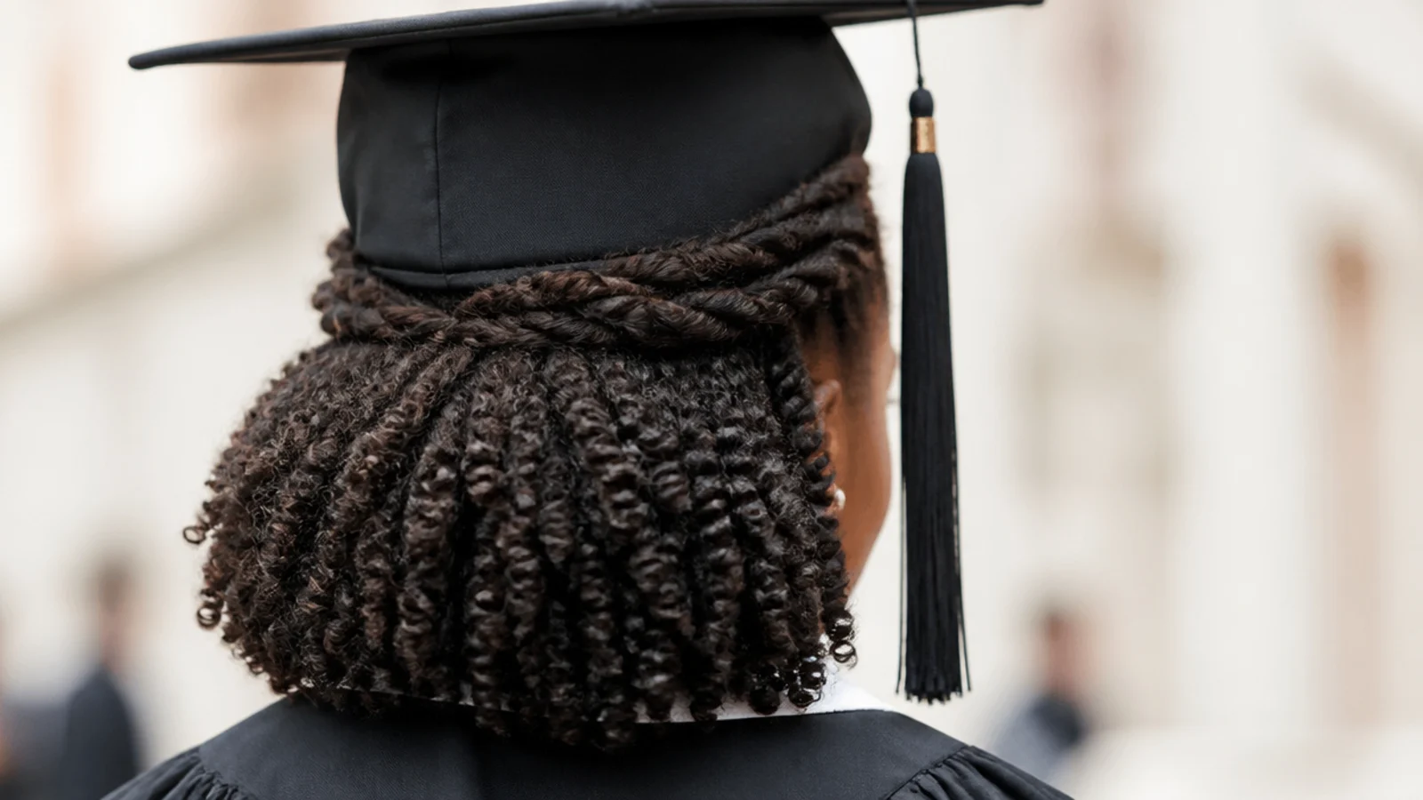 Two strand twists gathered into a half up at the back