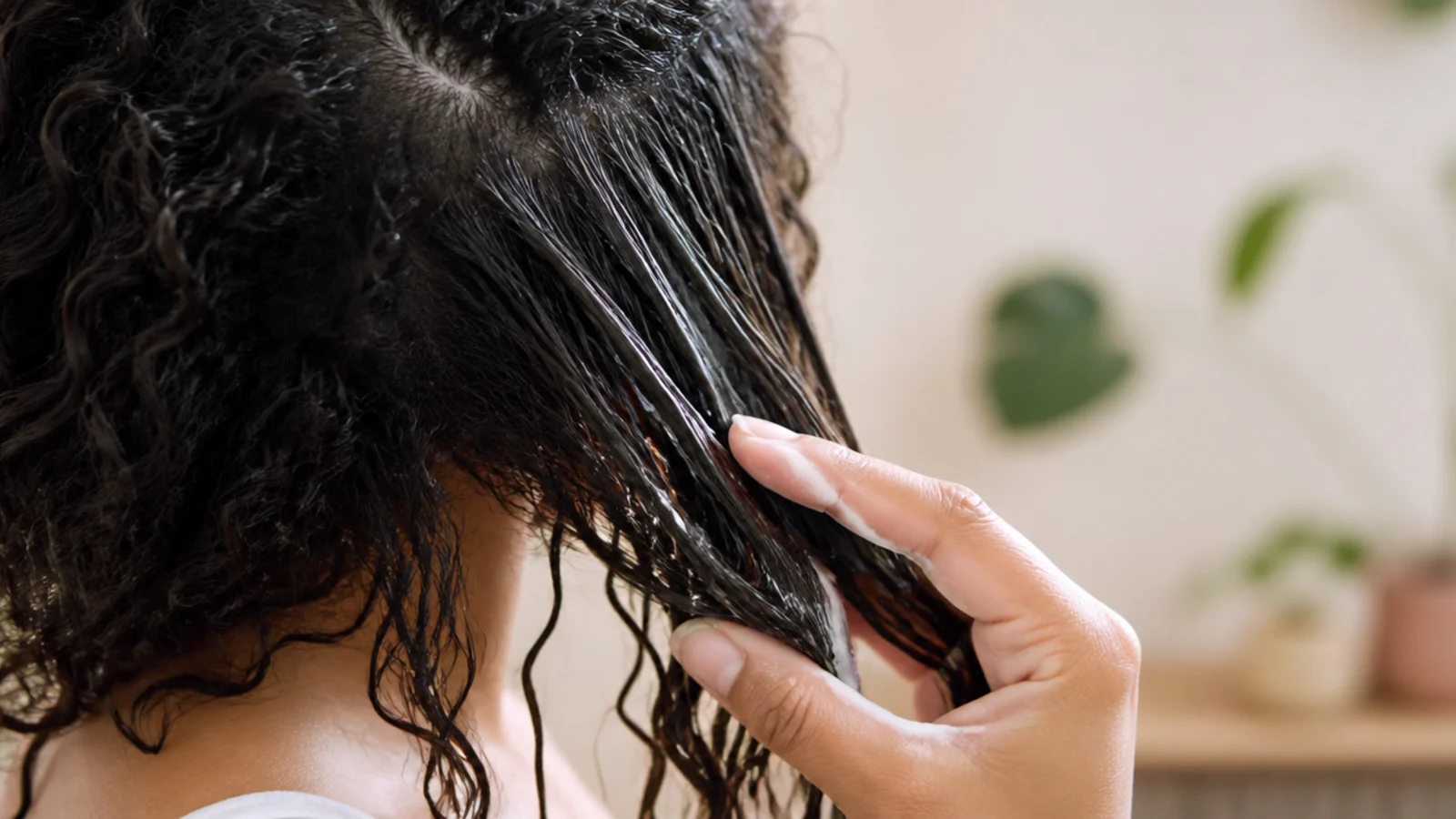 Fingers easing apart two wrapped curls mid length