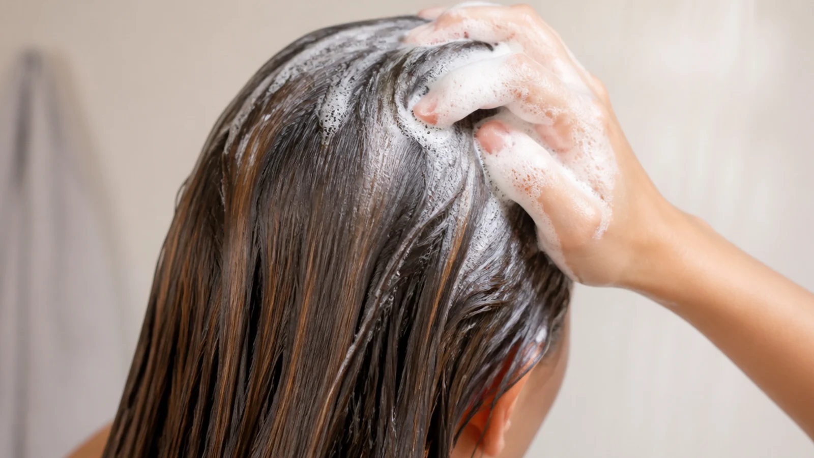 Lather being worked along the scalp at the roots