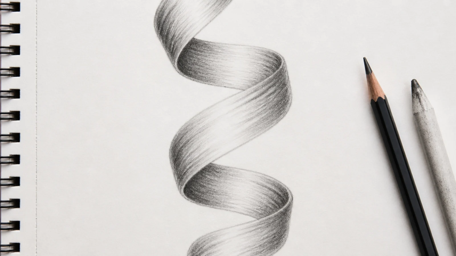 A pencil study of a single curl drawn as a twisting ribbon around an unseen cylinder