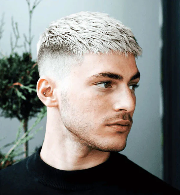 High Fade French Crop 