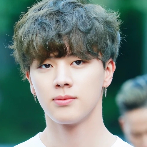 Bowl Cut Korean Haircut for Men