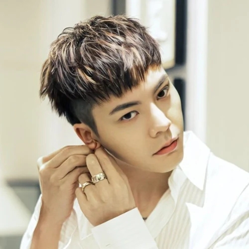 Korean Textured Crop Haircut Men