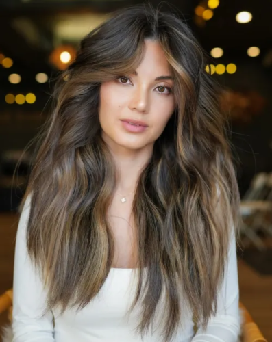 22. Chocolate Brown with Ash Highlights