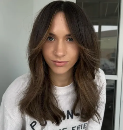 43. Chocolate Brown with Subtle Ombre