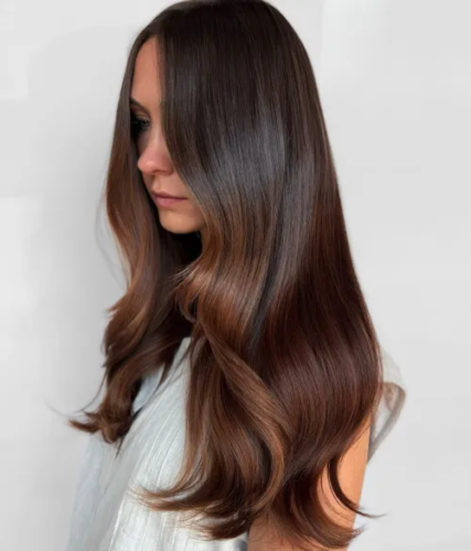 Chocolate Brown Hair Color Ideas